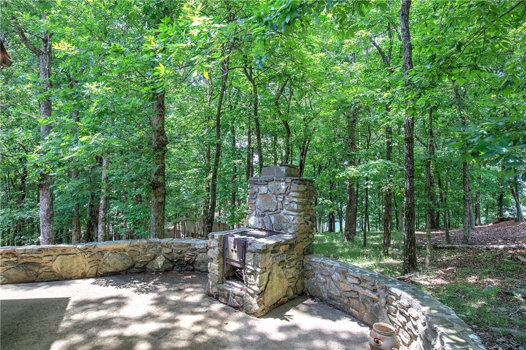 1467 Little Hendricks Mountain Road Jasper, GA 30143 - Photo 38 of 63