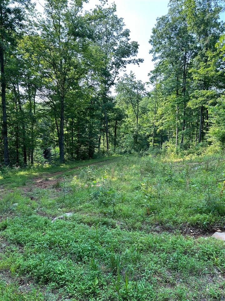 O Guy Jones Road Smiths Grove, KY 42171 - Photo 23 of 34 Gallery Image 23