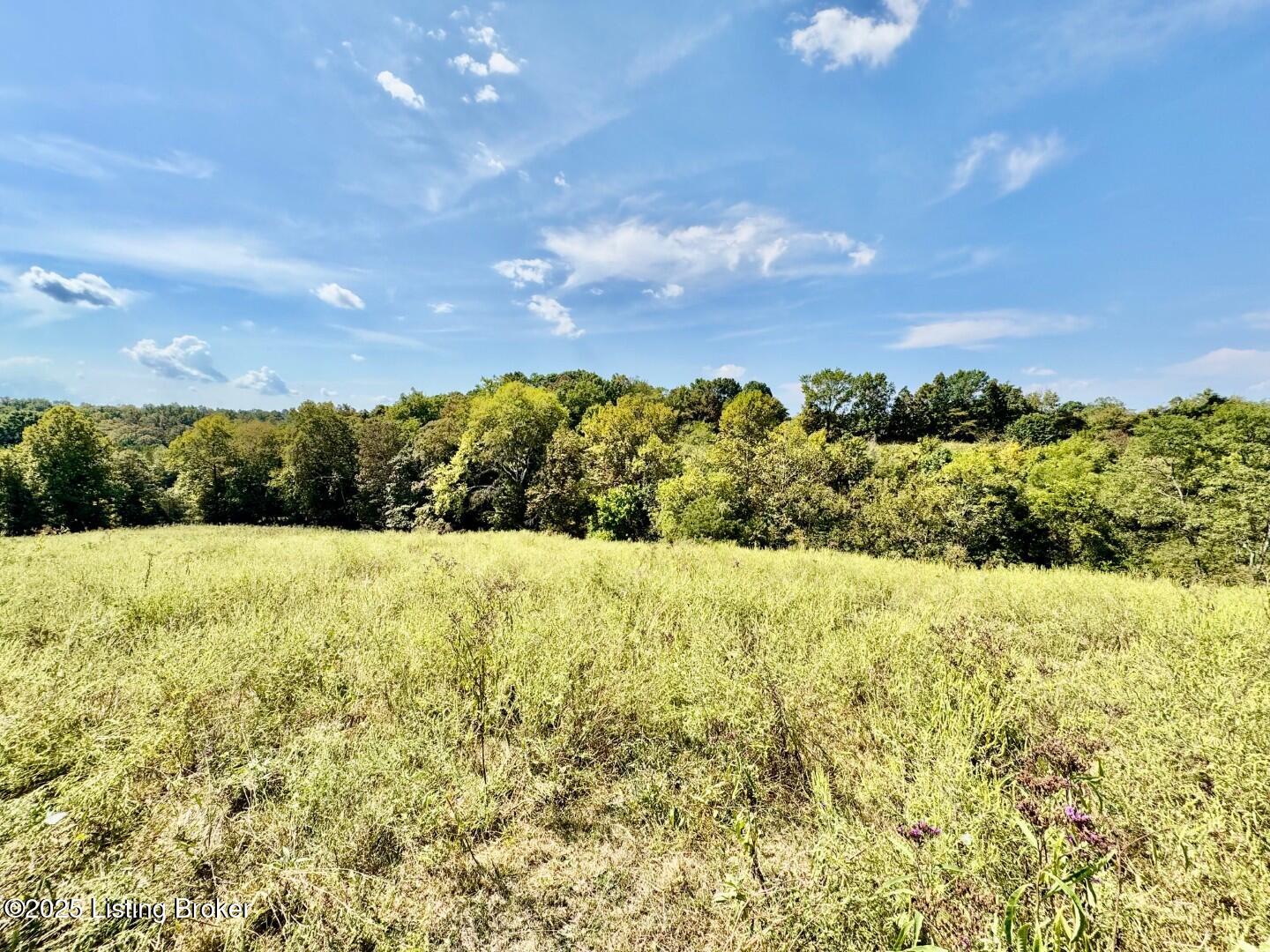 1431 Chaplin Road Willisburg, KY 40078 - Photo 13 of 14 IMG_4329 (Large)