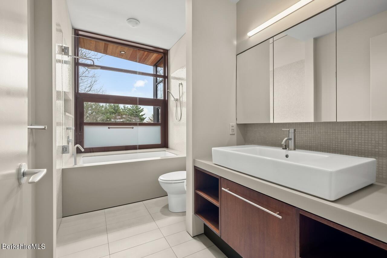 250 Long Pond Road Great Barrington, MA 01230 - Photo 39 of 56 a bathroom with a sink a toilet and a bathtub