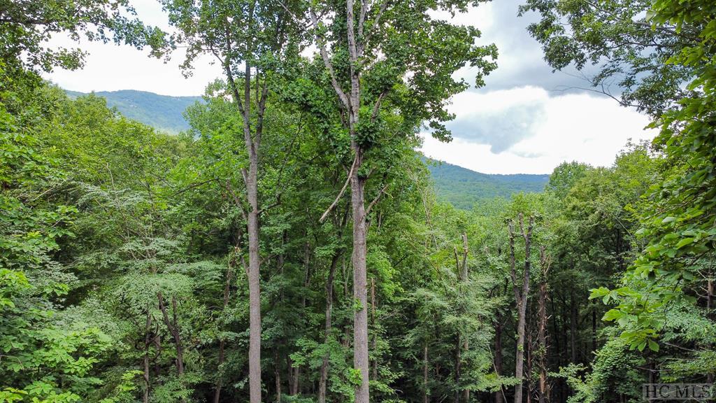 181 Narrows Road Sapphire, NC 28774 - Photo 8 of 66 Gallery Image 8