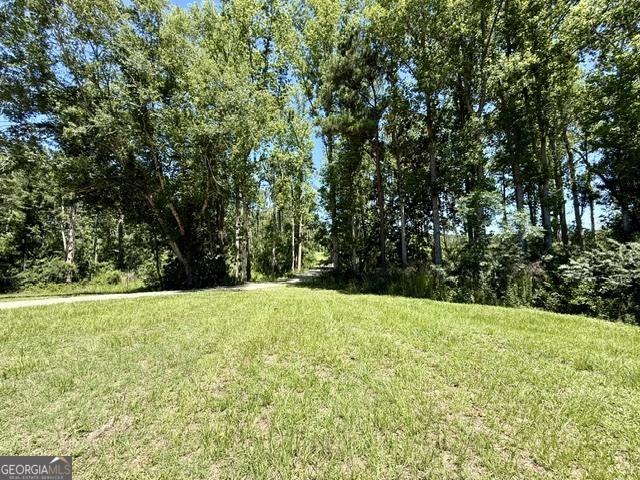 1102 Morgan Road Metter, GA 30439 - Photo 55 of 56