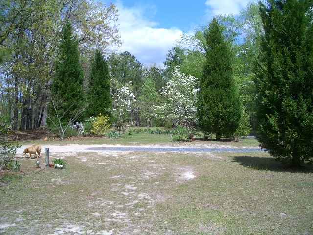 219 Hardy Road Carthage, NC 28327 - Photo 9 of 9 Additional Photo