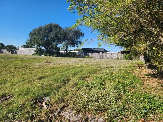 a large tree in the middle of a yard