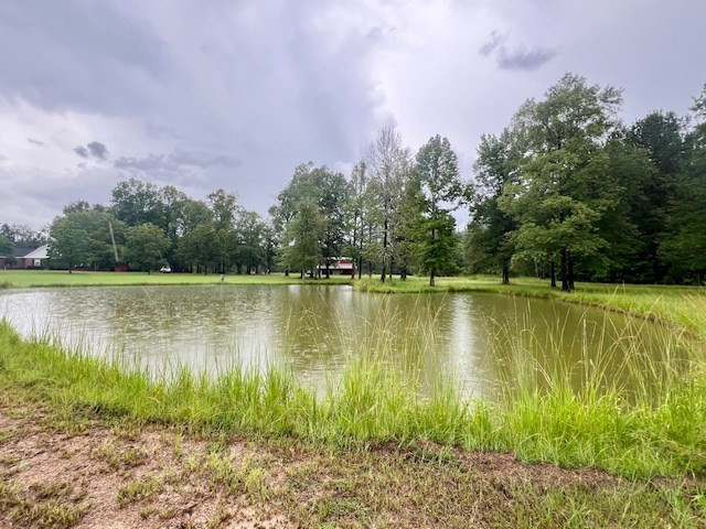 548 Quentin Road Southeast McCall Creek, MS 39647 - Photo 38 of 98 Photo 39