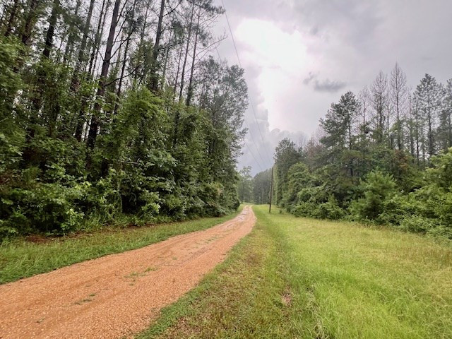548 Quentin Road Southeast McCall Creek, MS 39647 - Photo 40 of 98 Photo 41