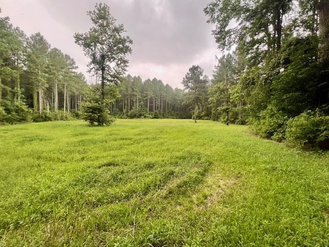 548 Quentin Road Southeast McCall Creek, MS 39647 - Photo 46 of 98 Photo 47