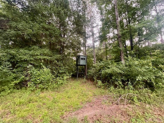 548 Quentin Road Southeast McCall Creek, MS 39647 - Photo 47 of 98 Photo 48