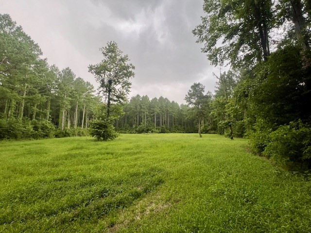 548 Quentin Road Southeast McCall Creek, MS 39647 - Photo 48 of 98 Photo 49