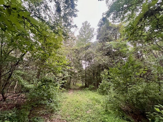 548 Quentin Road Southeast McCall Creek, MS 39647 - Photo 49 of 98 Photo 50