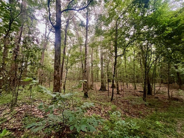 548 Quentin Road Southeast McCall Creek, MS 39647 - Photo 50 of 98 Photo 51