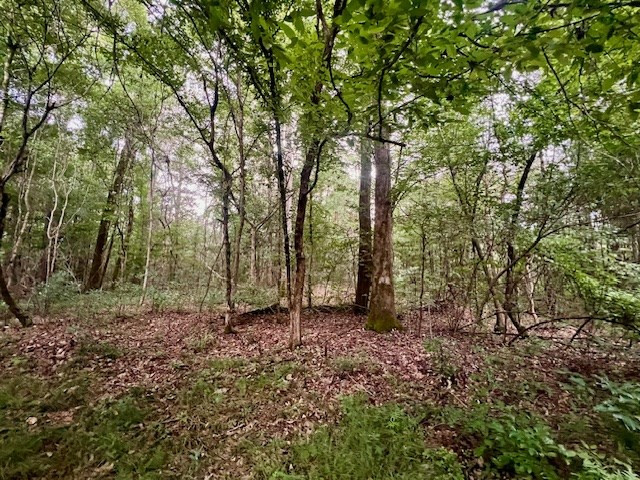548 Quentin Road Southeast McCall Creek, MS 39647 - Photo 51 of 98 Photo 52