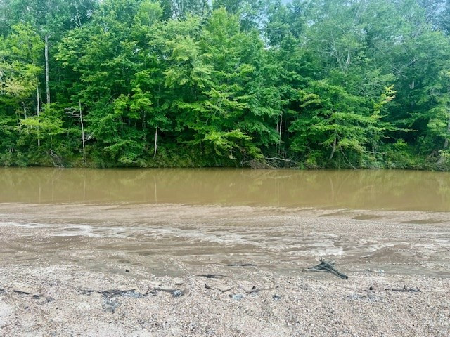 548 Quentin Road Southeast McCall Creek, MS 39647 - Photo 58 of 98 Photo 59