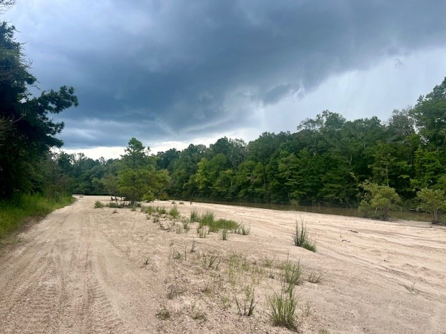 548 Quentin Road Southeast McCall Creek, MS 39647 - Photo 63 of 98 Photo 64