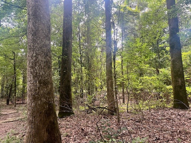 548 Quentin Road Southeast McCall Creek, MS 39647 - Photo 66 of 98 Photo 67