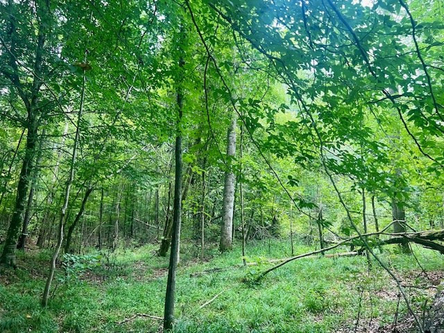 548 Quentin Road Southeast McCall Creek, MS 39647 - Photo 73 of 98 Photo 74