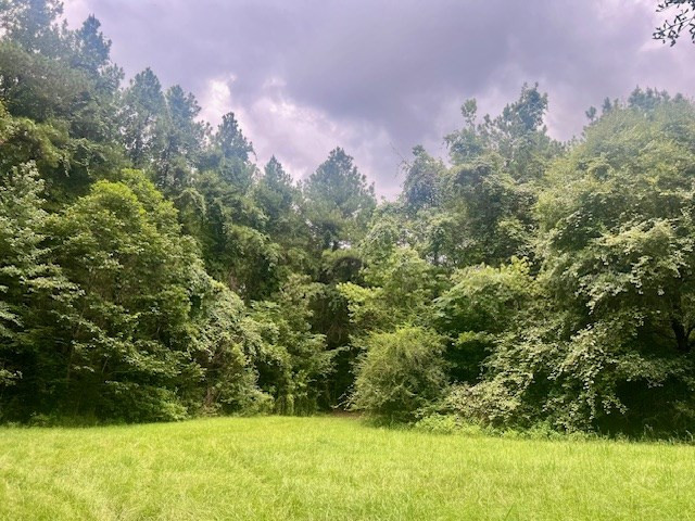 548 Quentin Road Southeast McCall Creek, MS 39647 - Photo 75 of 98 Photo 76