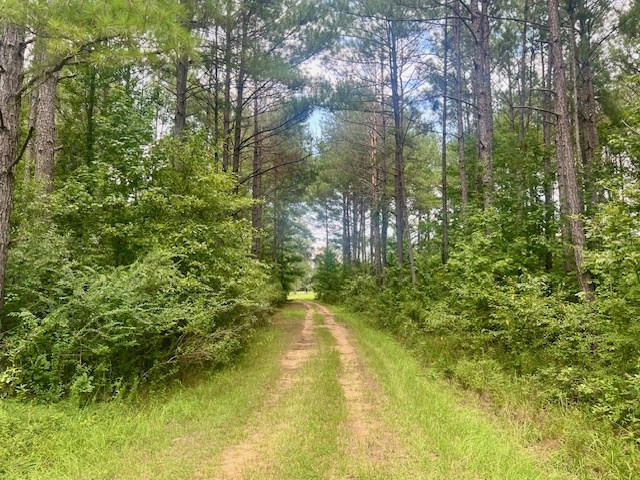 548 Quentin Road Southeast McCall Creek, MS 39647 - Photo 77 of 98 Photo 78