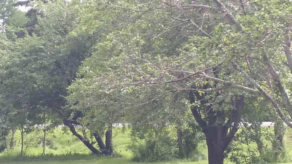 967 B Road Houlton, ME 04730 - Photo 16 of 34 Photo