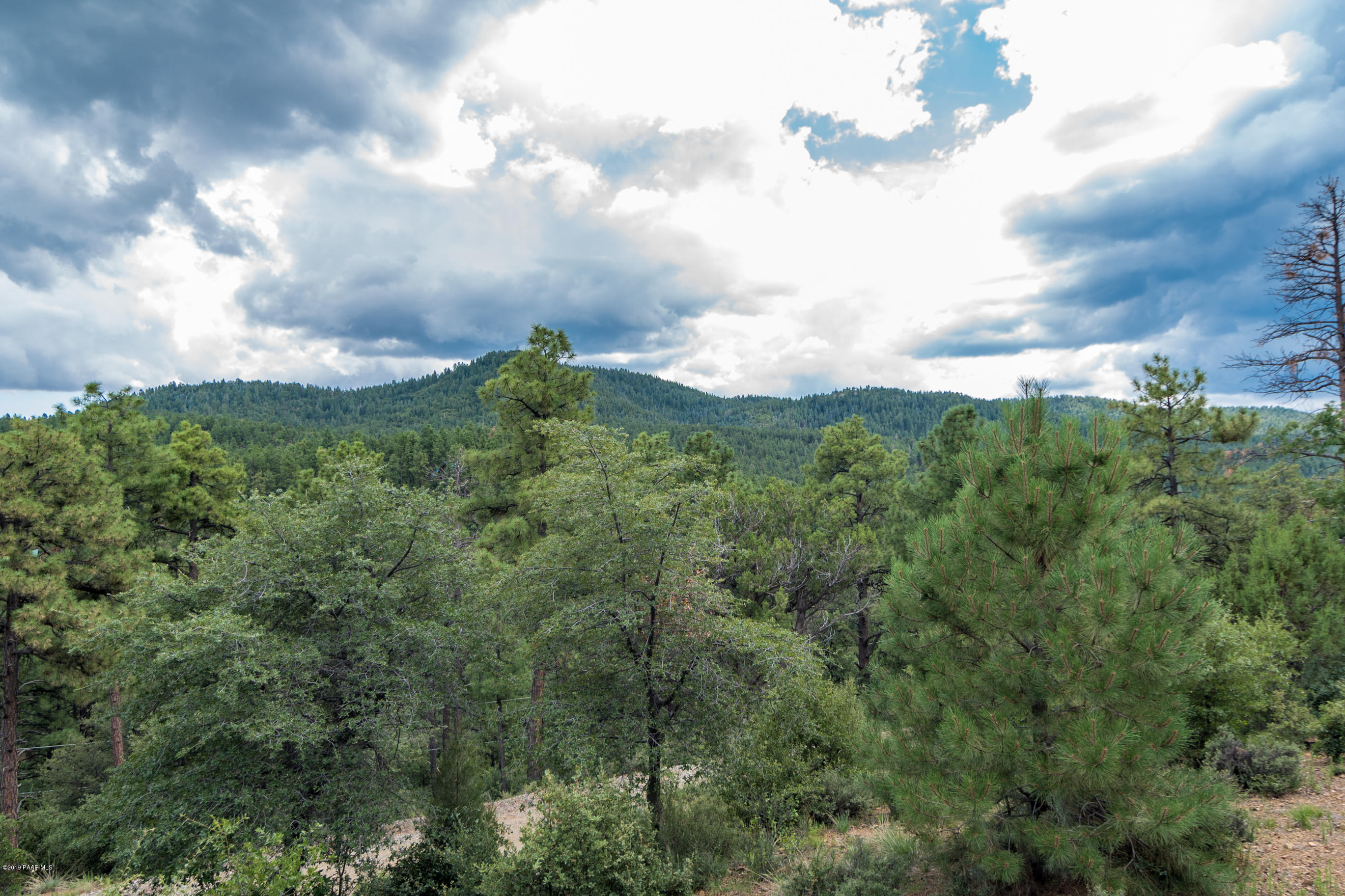 4680 South Stoney Ridge Road Prescott, AZ 86303 - Photo 16 of 39 a view of a lot of trees and sky
