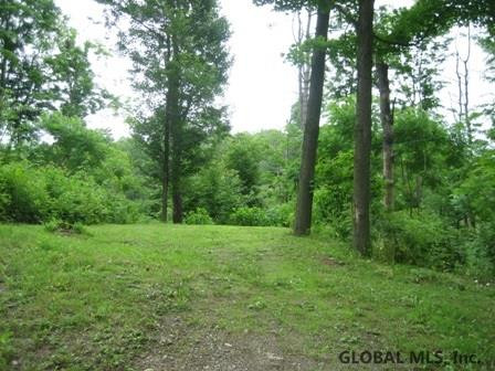 516 Reafield Farm Road Jackson, NY 12865 - Photo 1 of 12 Photo 1