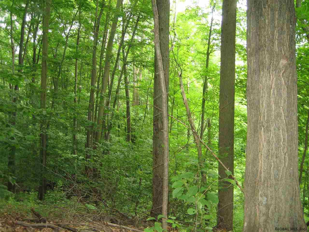 516 Reafield Farm Road Jackson, NY 12865 - Photo 3 of 12 Photo 3