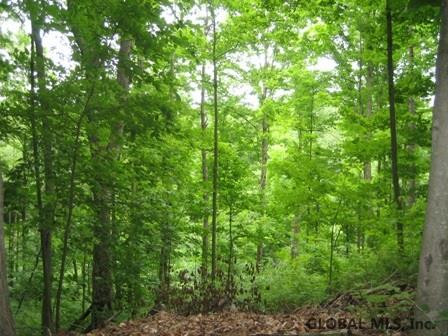 516 Reafield Farm Road Jackson, NY 12865 - Photo 4 of 12 Photo 4