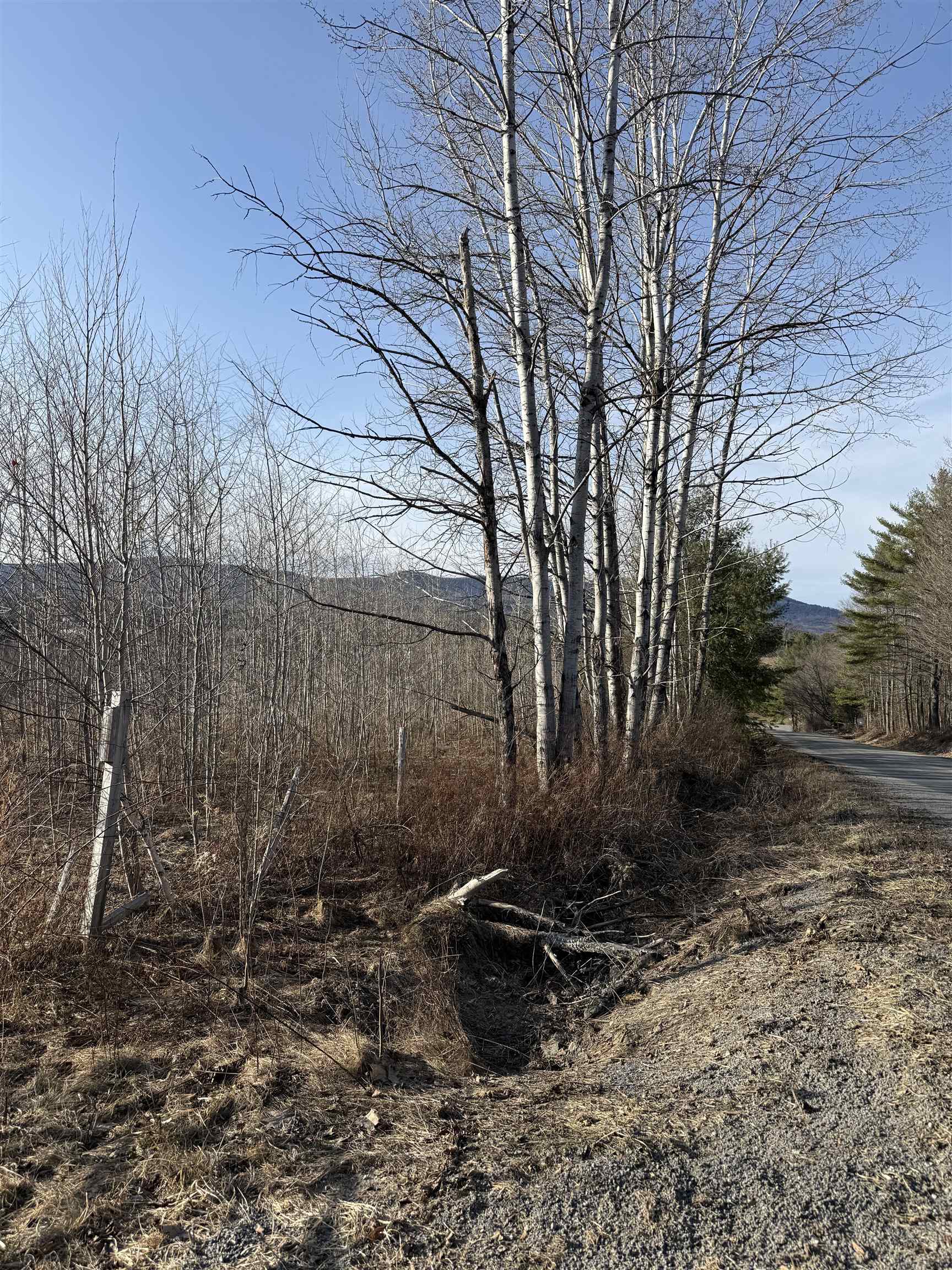 0 French Meadow Road Springfield, VT 05156 - Photo 11 of 13 Gallery Image 11