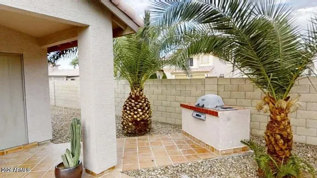 a potted plant sitting in front of a house