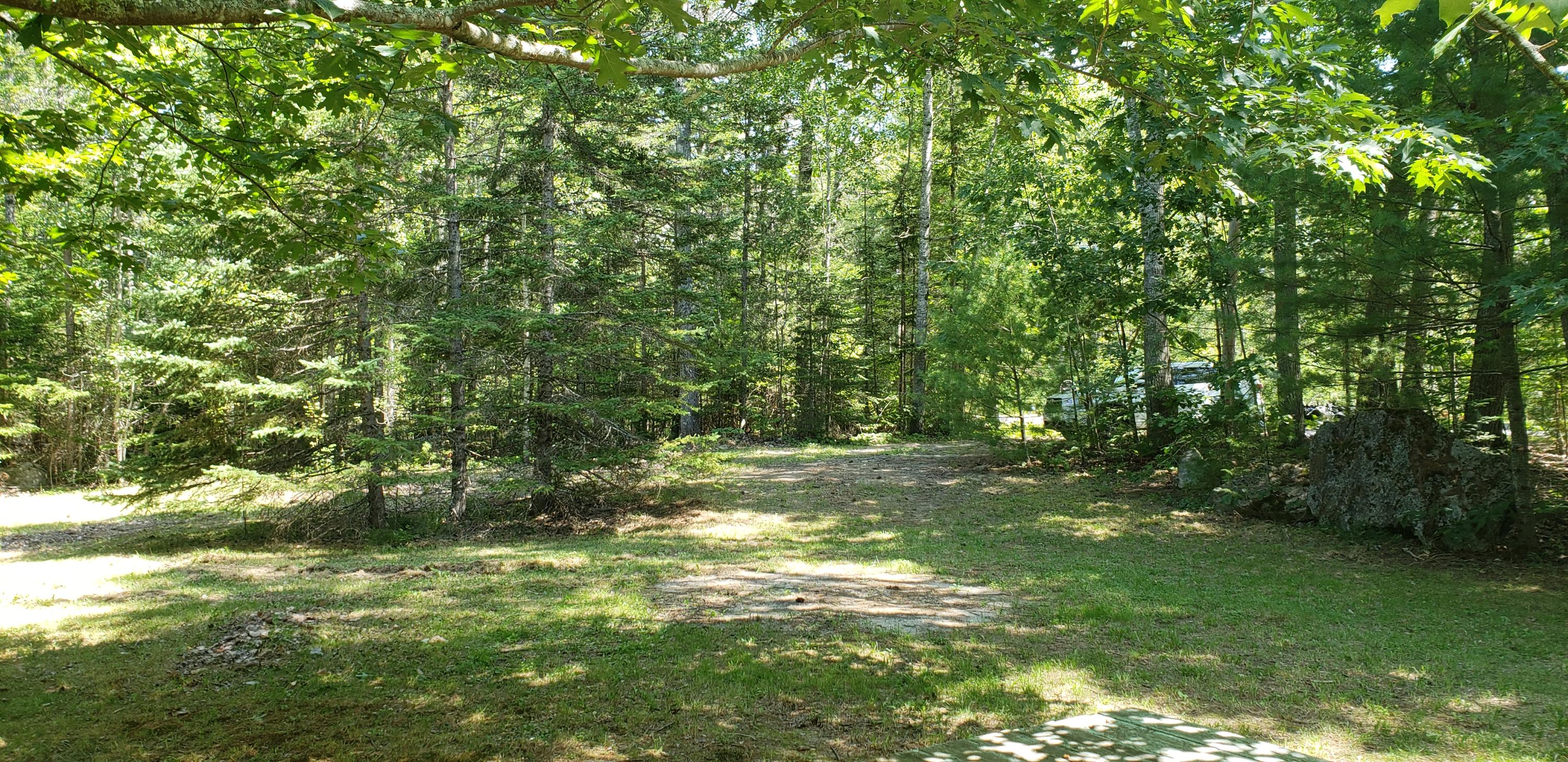 115 Rooks Road Eddington, ME 04428 - Photo 4 of 44 20190806_121223