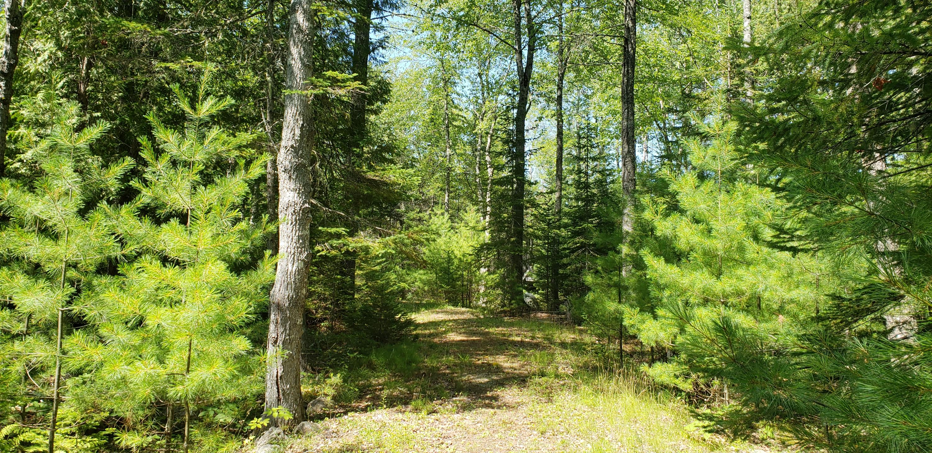 115 Rooks Road Eddington, ME 04428 - Photo 5 of 44 20190806_120439 - Copy