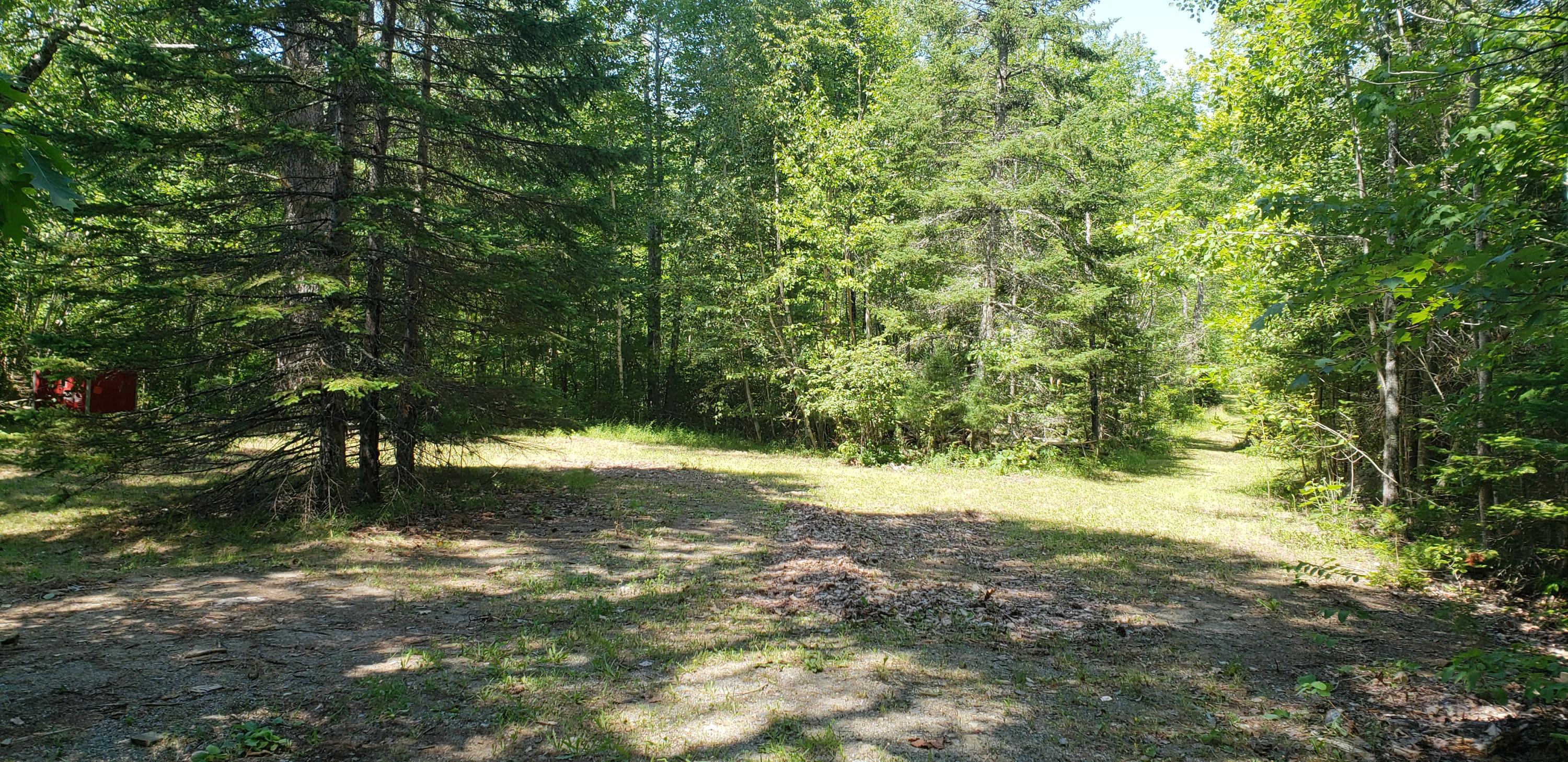 115 Rooks Road Eddington, ME 04428 - Photo 6 of 44 20190806_120134 - Copy