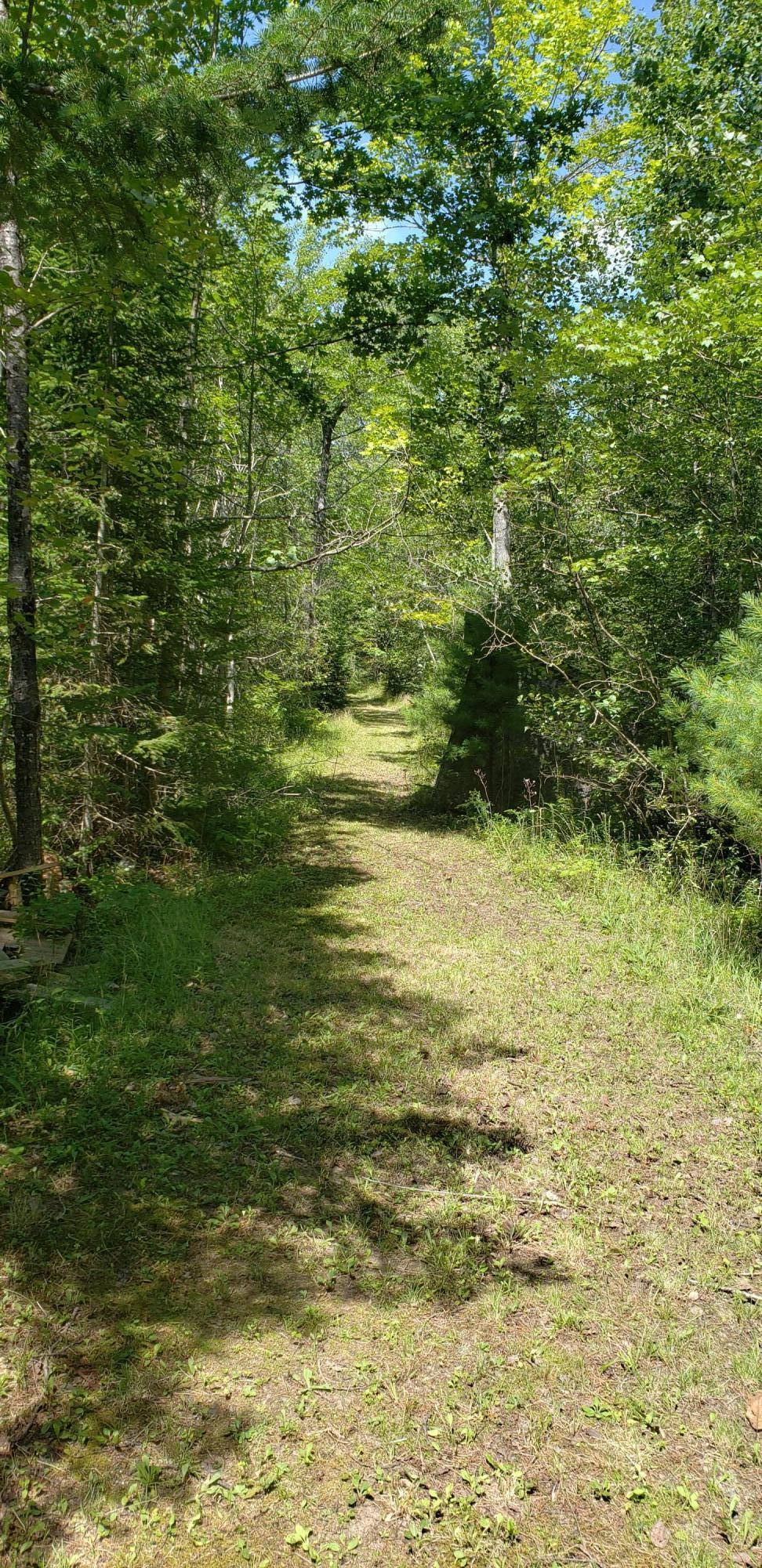 115 Rooks Road Eddington, ME 04428 - Photo 7 of 44 20190806_120236 - Copy