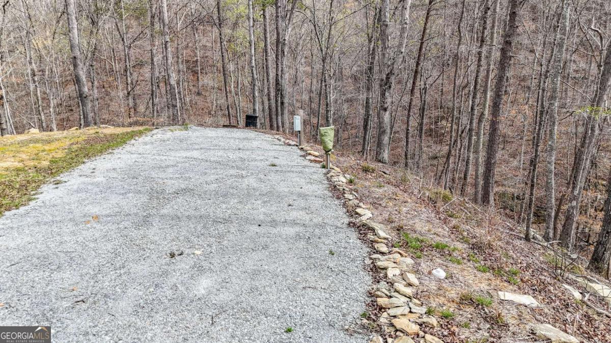 0 Felton Rockmart Road Buchanan, GA 30113 - Photo 11 of 47