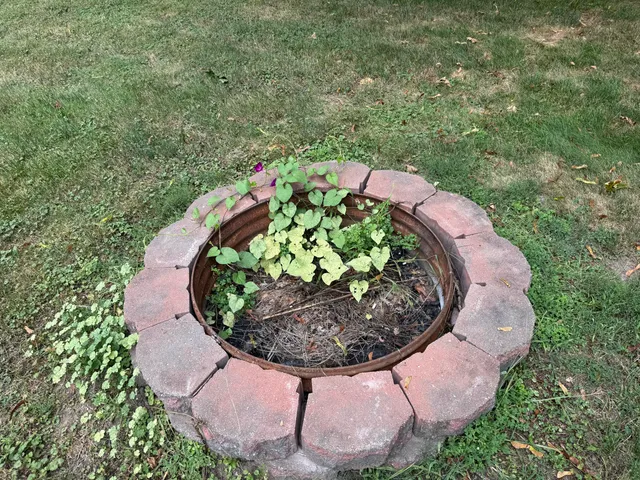 $229,000 | 109 East Pine Street, Fremont, MI 49412