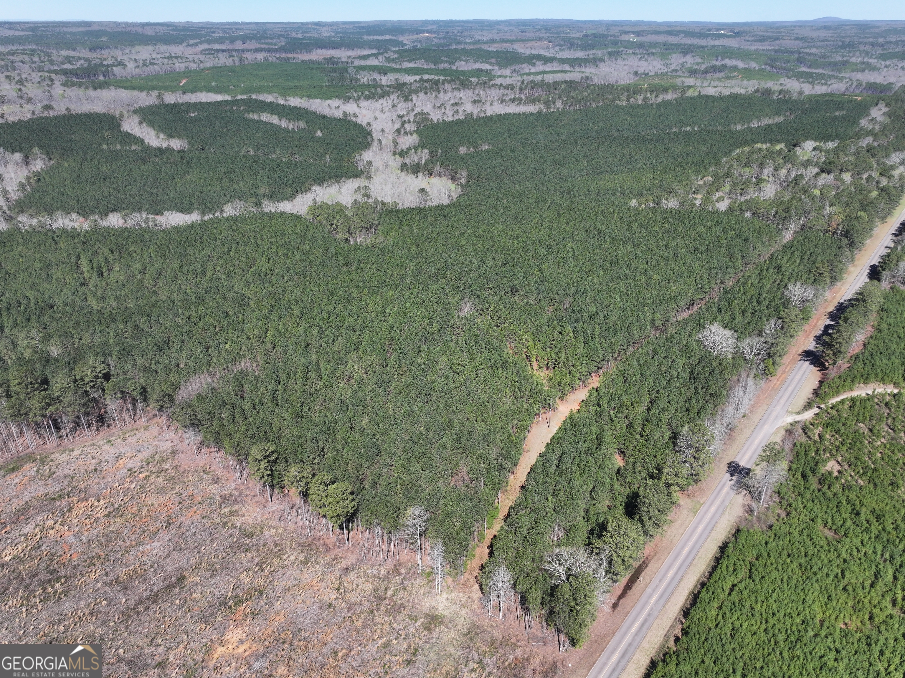 257 Acres On Ridgeway Road Franklin, GA 30217 - Photo 11 of 28