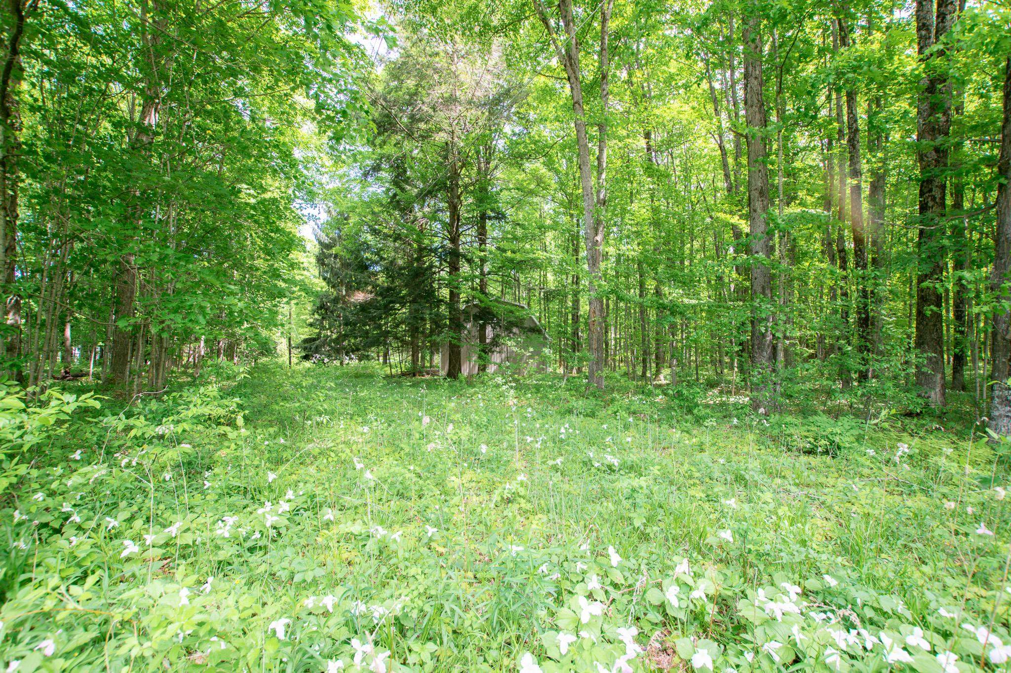 1250 River Road Beulah, MI 49617 - Photo 47 of 56 1911443-46.JPG
