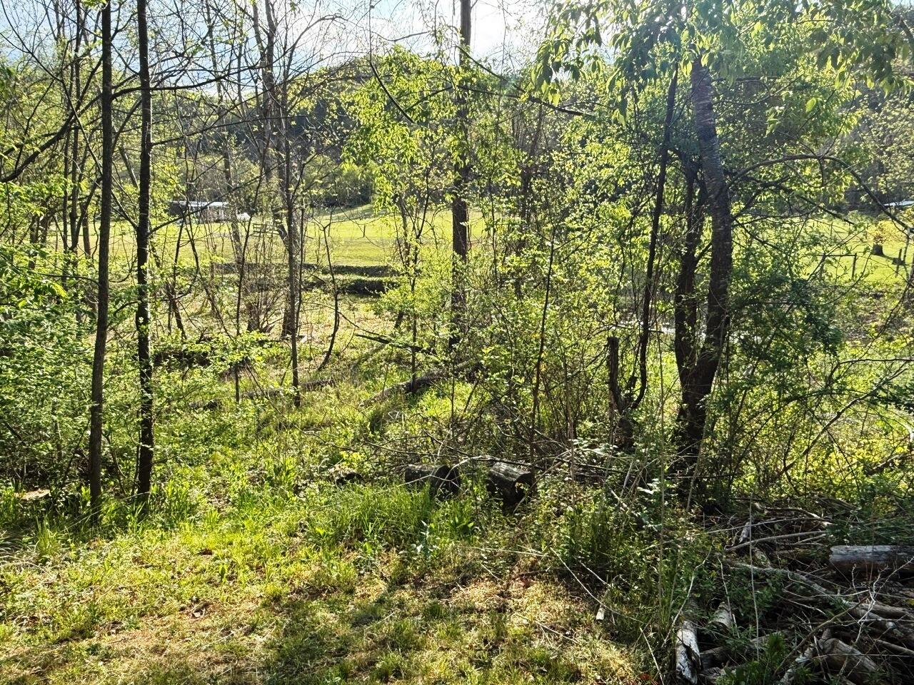 2700 Bradshaw Road Elliston, VA 24087 - Photo 11 of 12 IMG_9057