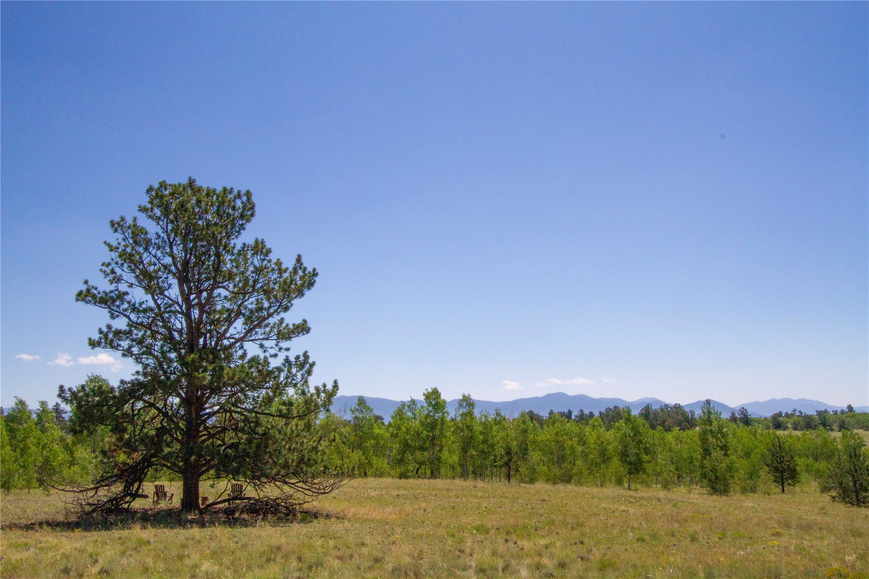 4134 Buffalo Ridge Road Como, CO 80432 - Photo 32 of 41 Gallery Image 32