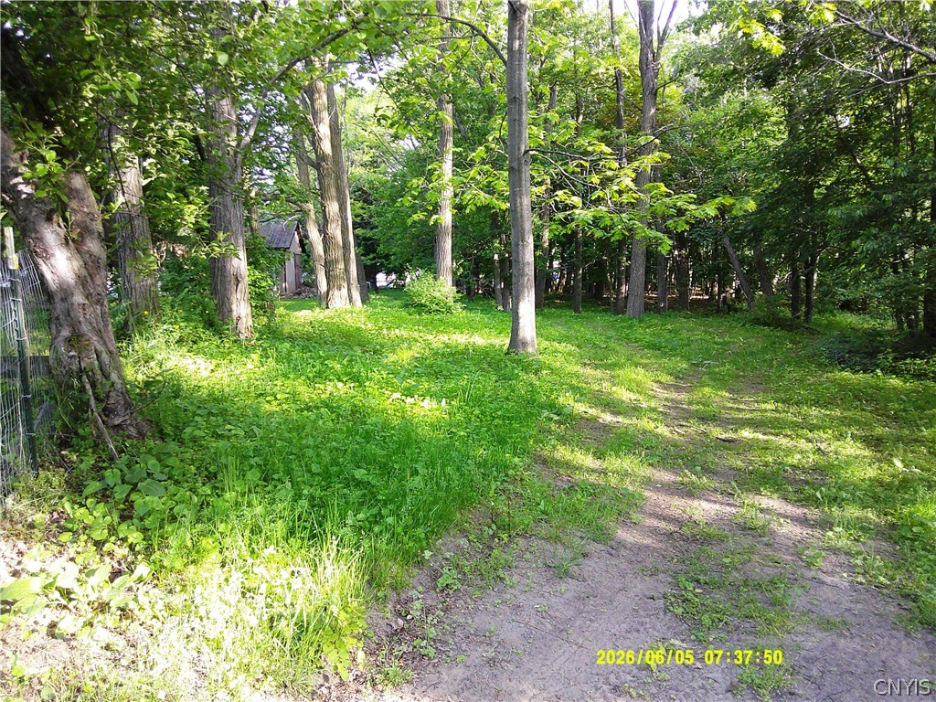 17991 Ny State Rte 177 Adams, NY 13606 - Photo 46 of 50