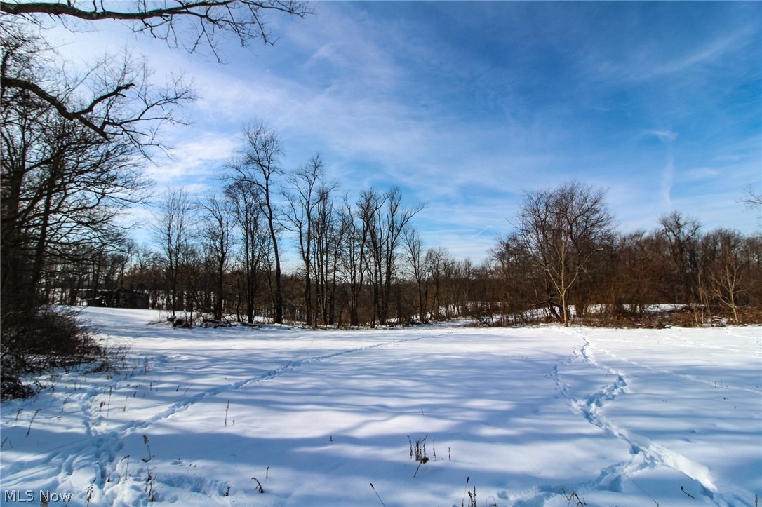 8176 Branch Road Amsterdam, OH 43903 - Photo 17 of 34 Gallery Image 17