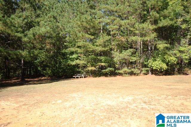 0 County Road 928, Unit 19 Delta, AL 36258 - Photo 41 of 43