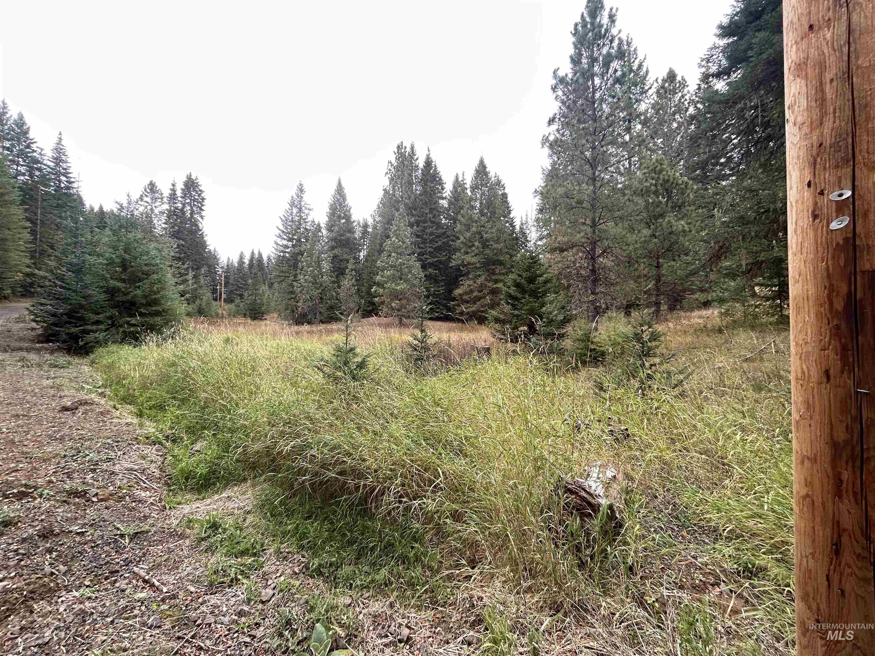 Tbd Lot 3 Tbd Road Kamiah, ID 83536 - Photo 19 of 19