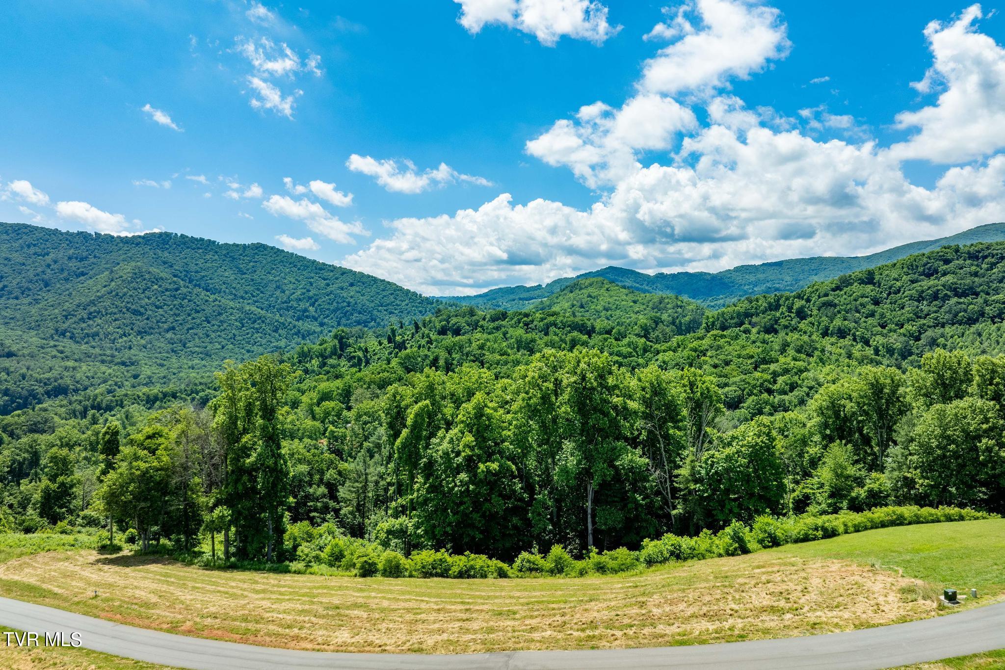 Lot 28 Eagle Rdg Parkway, Unit 28 Butler, TN 37640 - Photo 3 of 93 Lot 28 in Eagle Bay