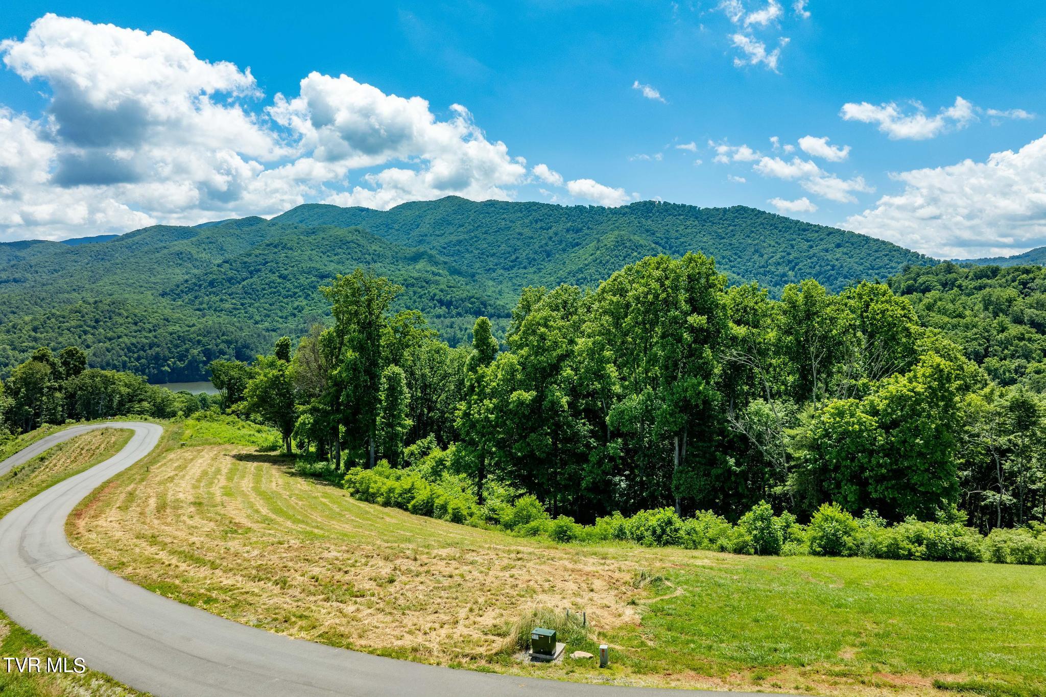 Lot 28 Eagle Rdg Parkway, Unit 28 Butler, TN 37640 - Photo 4 of 93 Lot 28 in Eagle Bay
