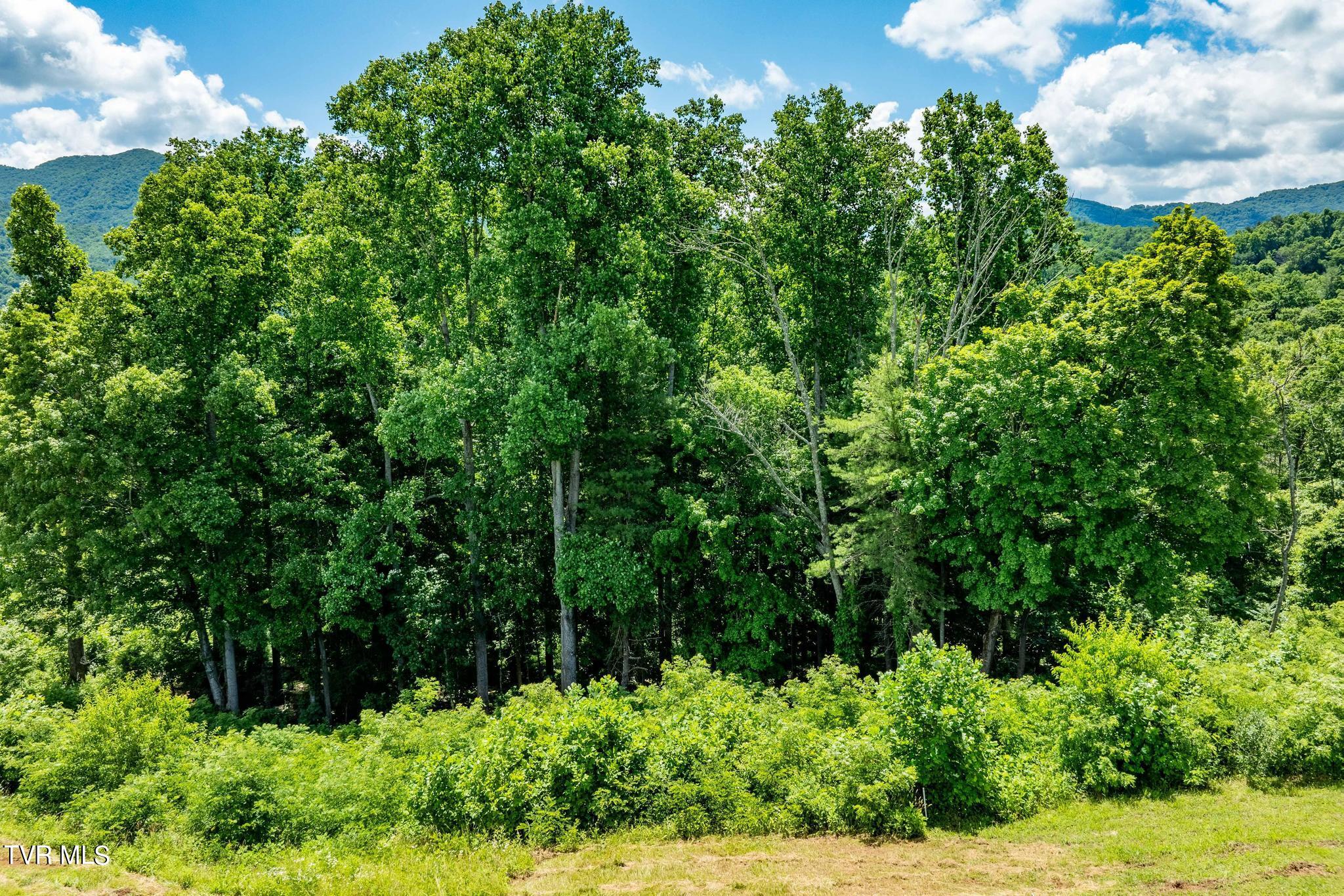 Lot 28 Eagle Rdg Parkway, Unit 28 Butler, TN 37640 - Photo 59 of 93 Lot 28 in Eagle Bay