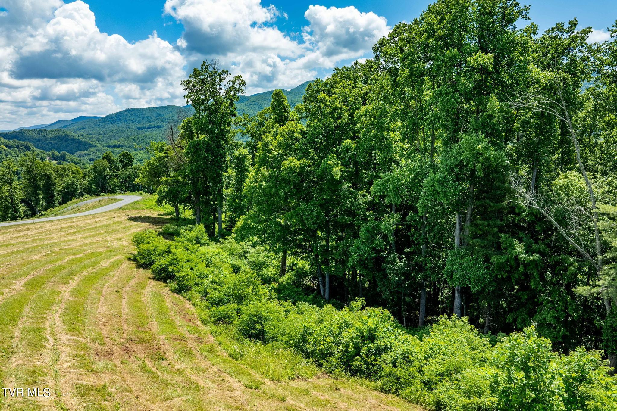 Lot 28 Eagle Rdg Parkway, Unit 28 Butler, TN 37640 - Photo 60 of 93 Lot 28 in Eagle Bay