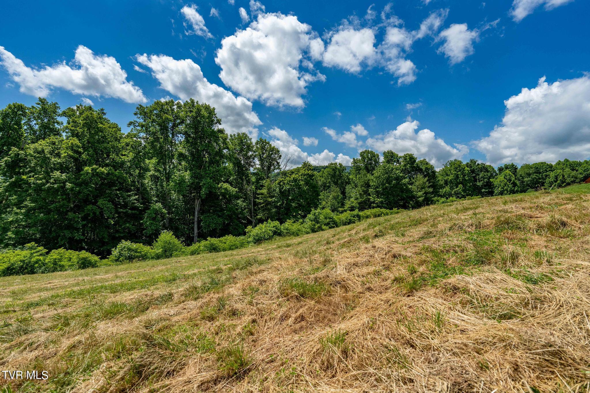 Lot 28 Eagle Rdg Parkway, Unit 28 Butler, TN 37640 - Photo 63 of 93 Lot 28 in Eagle Bay