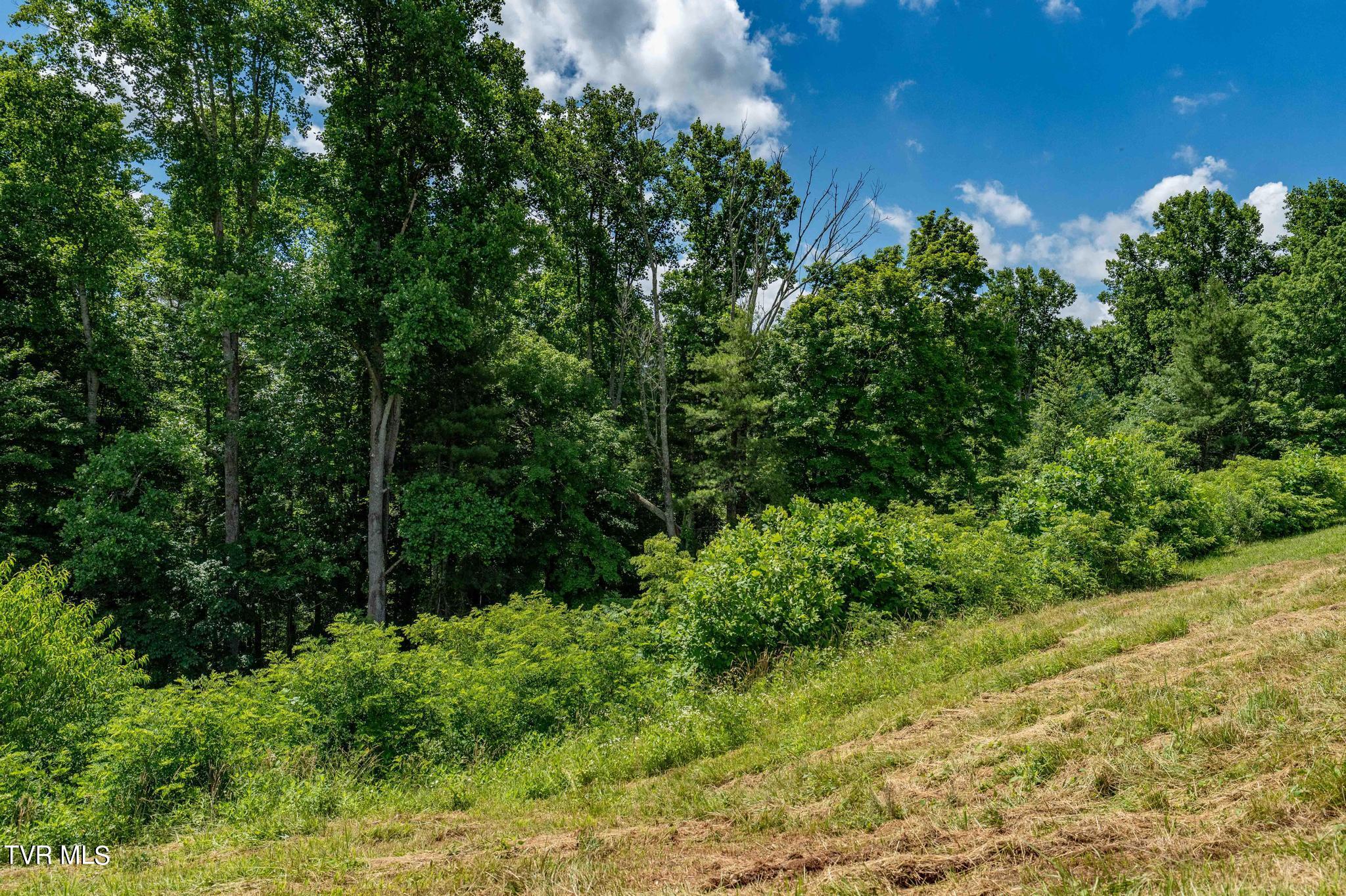 Lot 28 Eagle Rdg Parkway, Unit 28 Butler, TN 37640 - Photo 65 of 93 Lot 28 in Eagle Bay