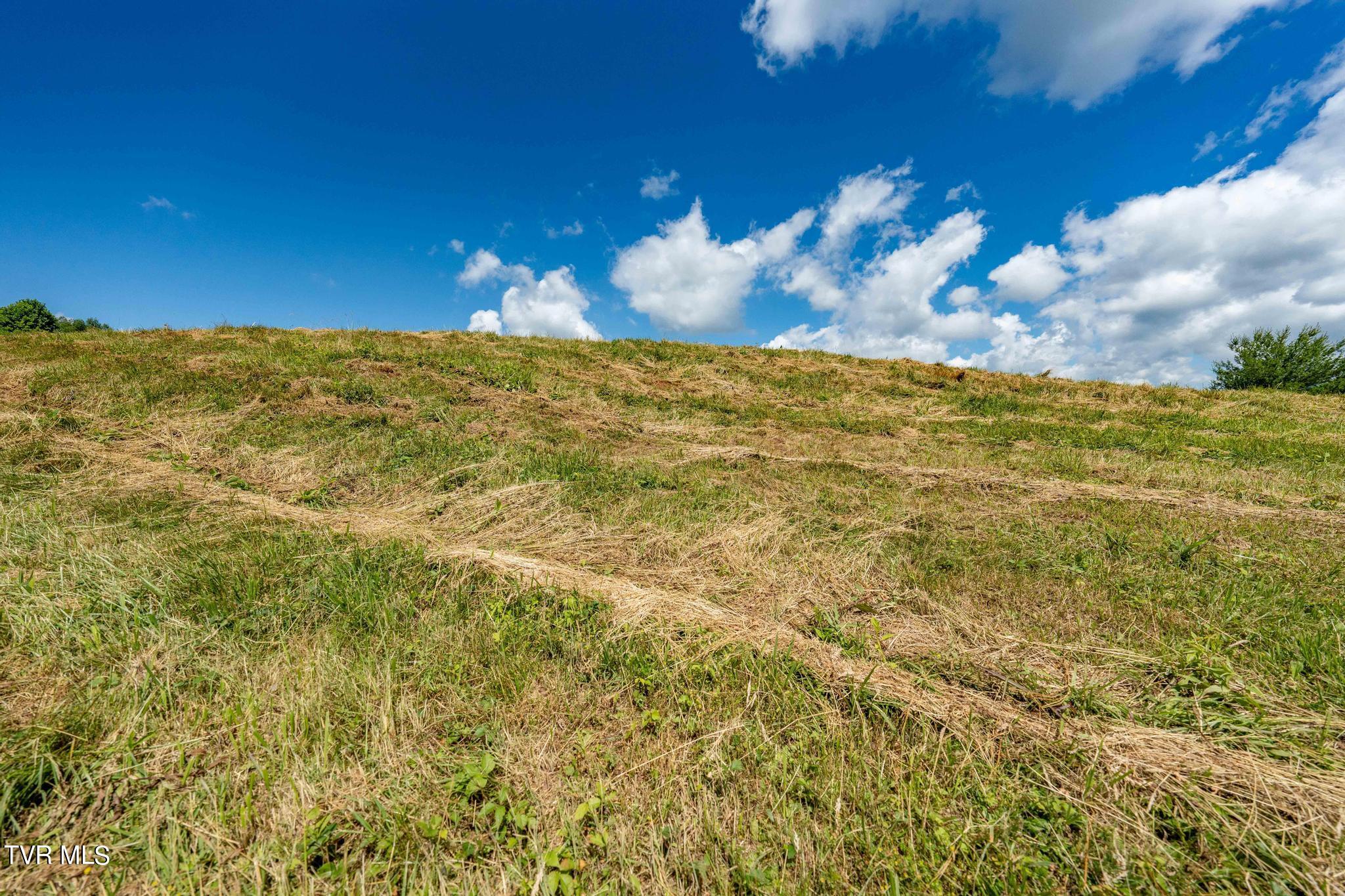 Lot 28 Eagle Rdg Parkway, Unit 28 Butler, TN 37640 - Photo 66 of 93 Lot 28 in Eagle Bay